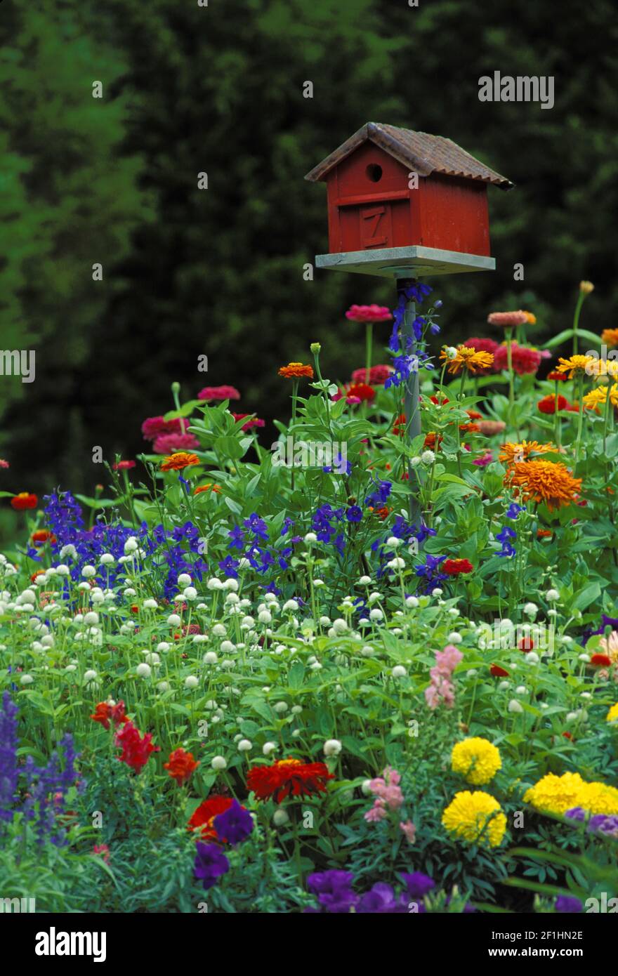Red barn birdhouse or bird box in the gaudy multicolored summer-blooming garden with zinnias and lilies Missouri, USA Stock Photo