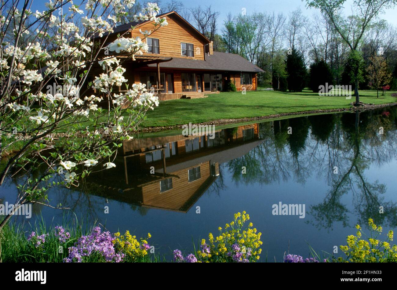Rural cedar wood home in spring reflected in lake with blooming spring dogwood and wildflowers Stock Photo