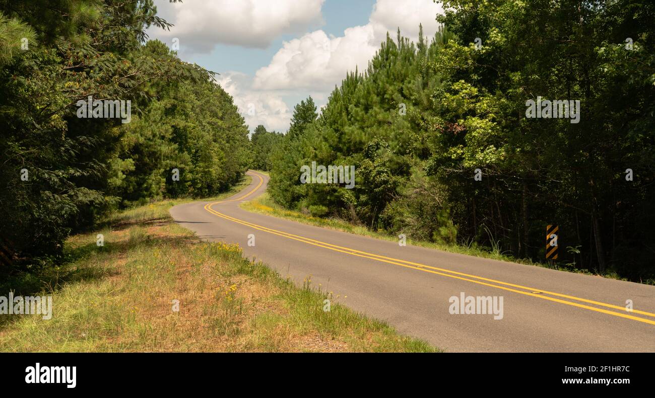 Long Windy Road Through National Forest Land USA North America Stock Photo