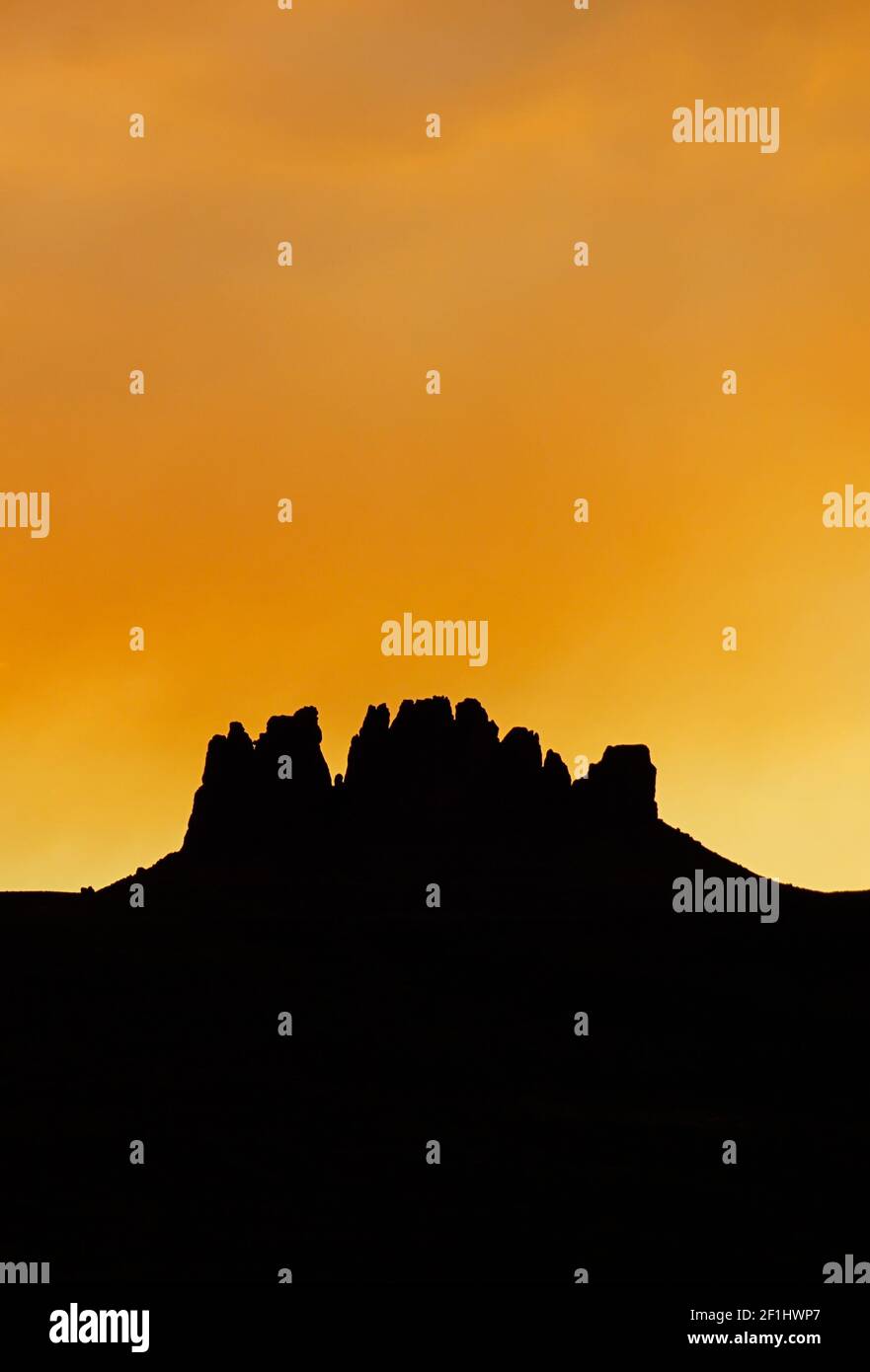 Desert Rocks Single Single barren shrub hi-res stock photography and images - Alamy