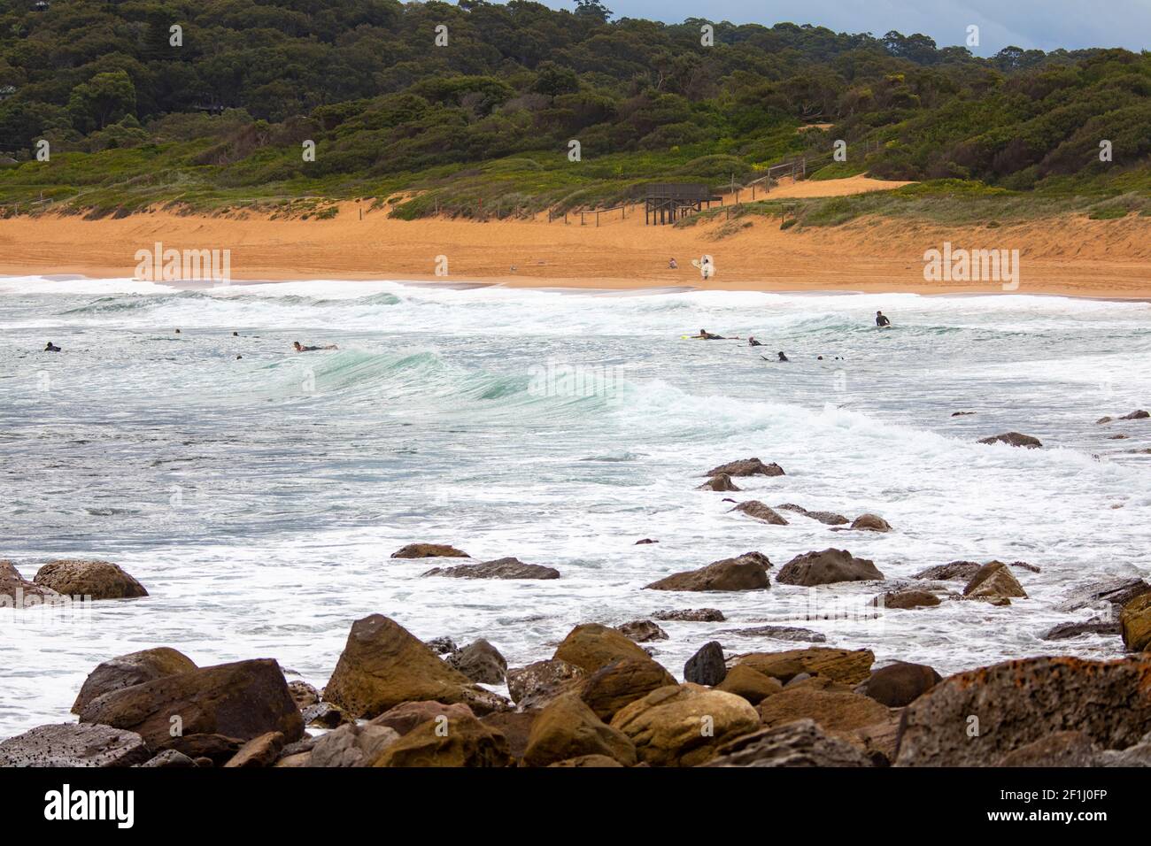 Surfers in the water at Avalon Beach in Sydney waiting for the next wave,Sydney,Australia Stock Photo