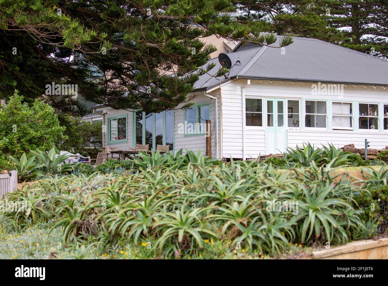 Australian traditional weatherboard cottage beside Avalon Beach in Sydney with green coastal garden,NSW,Australia Stock Photo