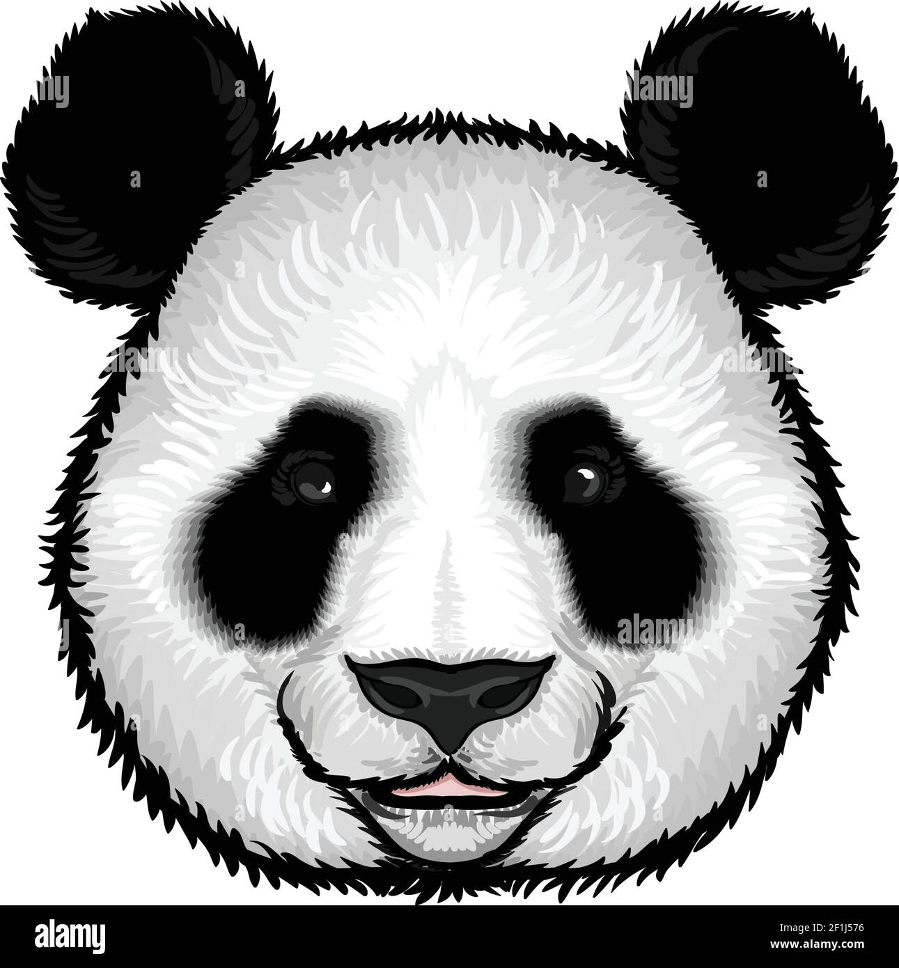 Panda gesicht