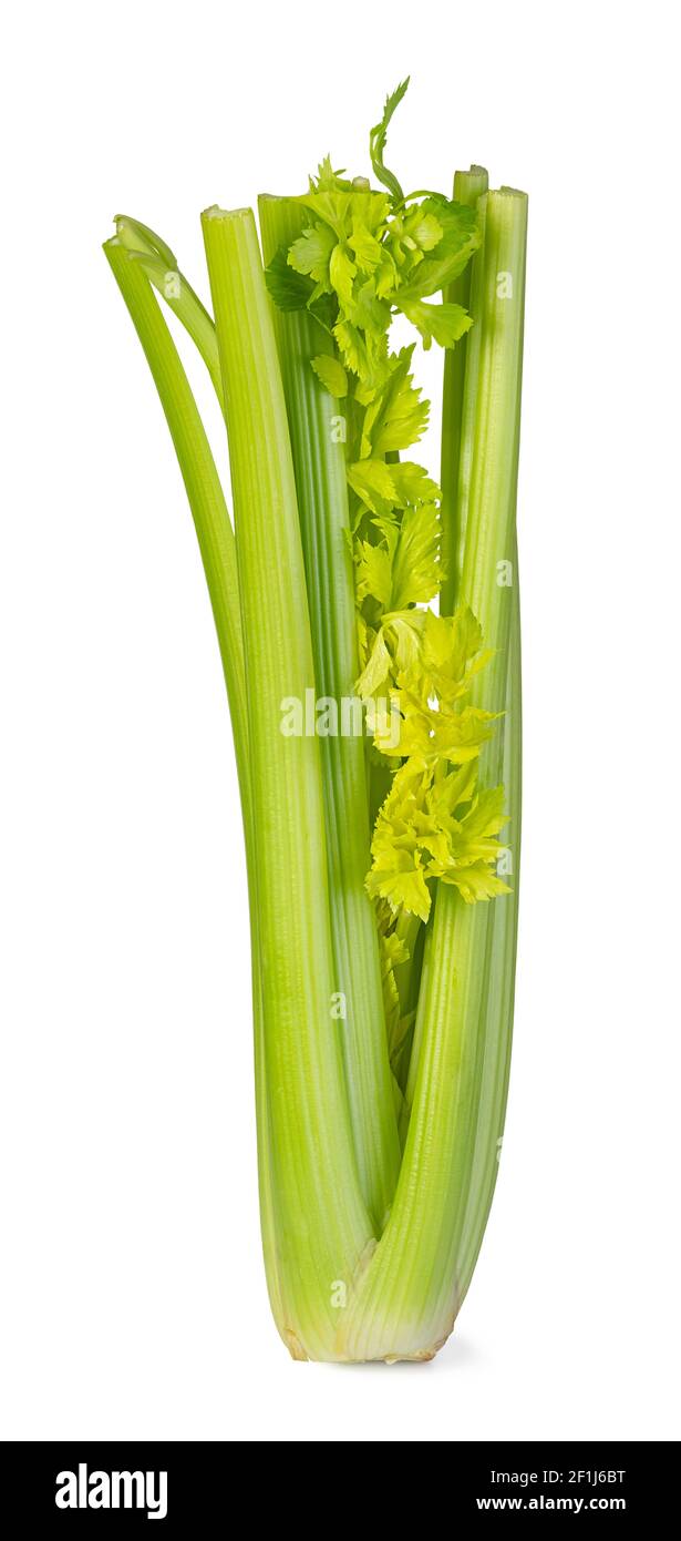 Celery on white background Stock Photo