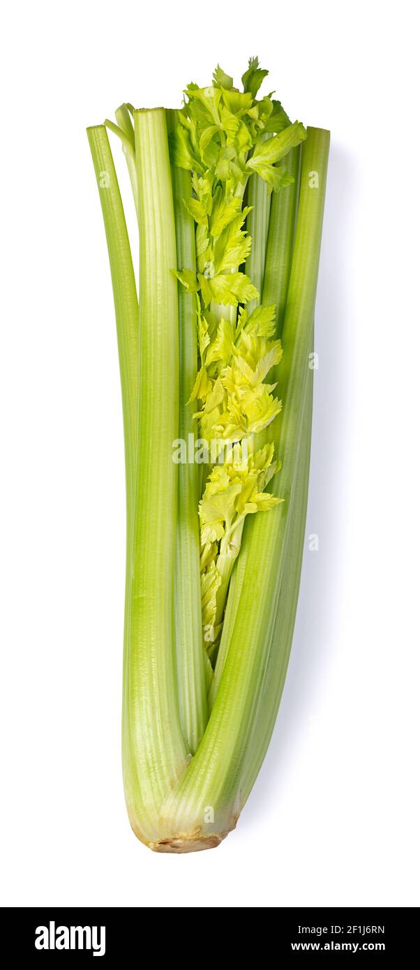 Celery on white background Stock Photo