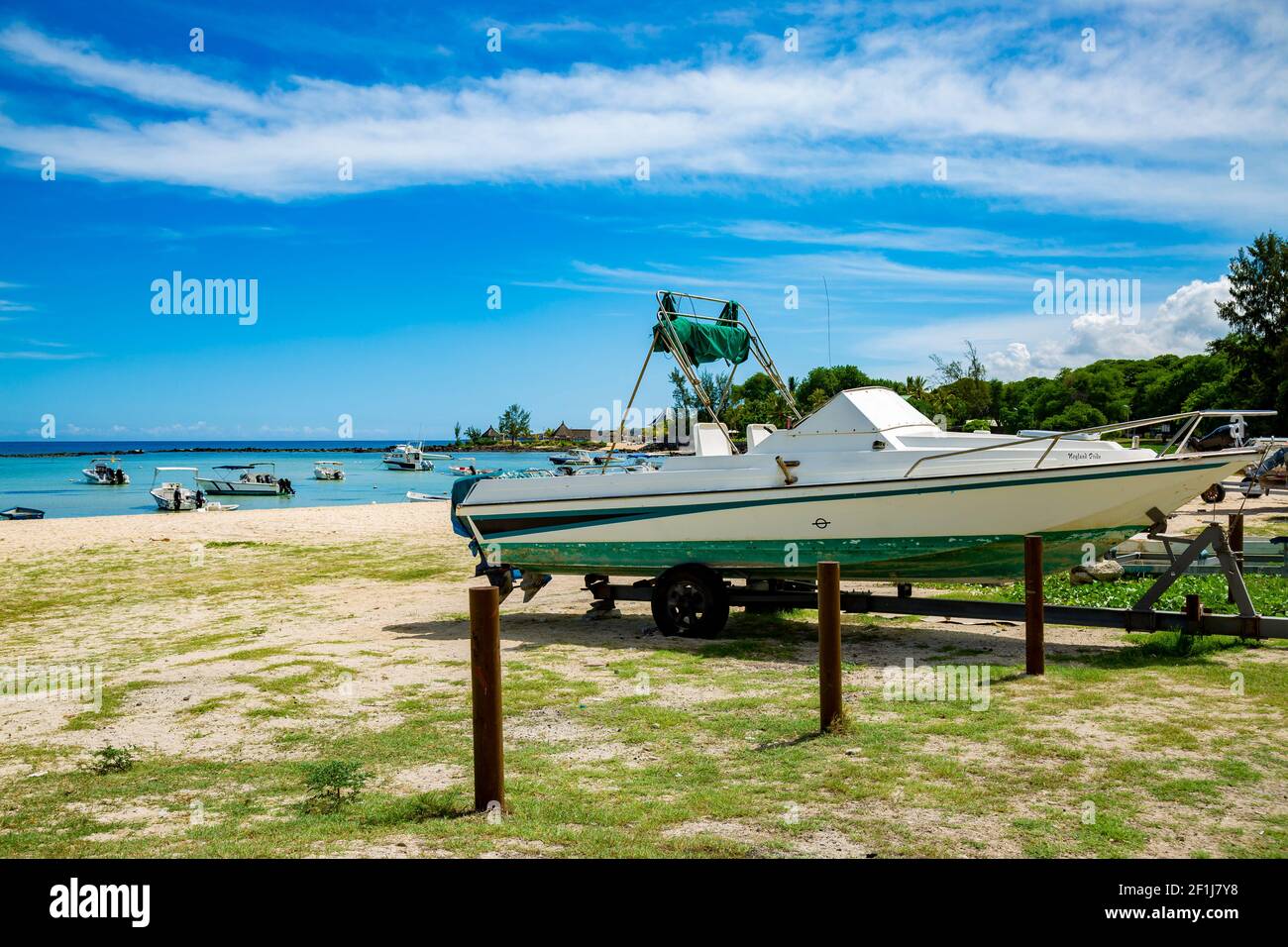 Mauritius tropical fish hires stock photography and images Alamy
