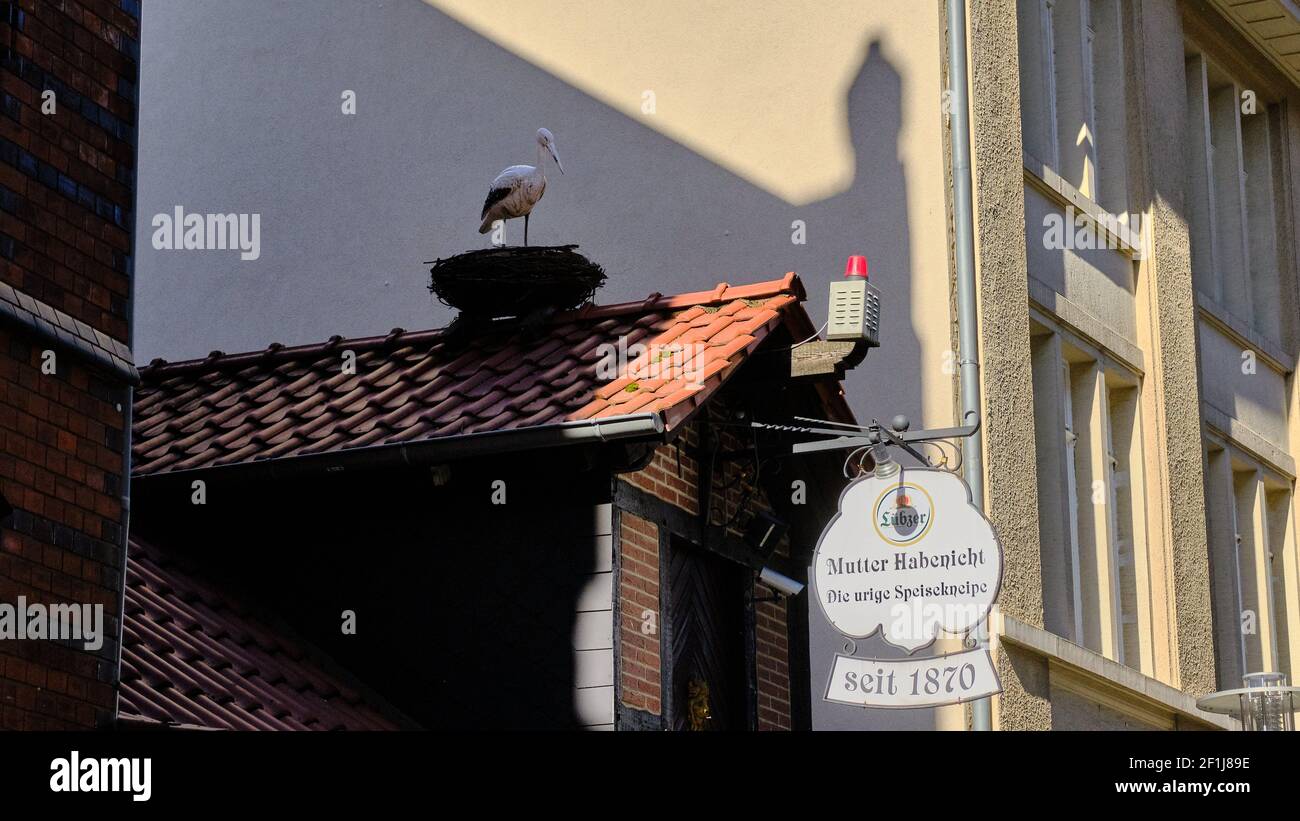 Brunswick, Germany. 08th Mar, 2021. An artificial stork stands 365 days a year on the roof of the traditional restaurant 'Mutter Habenicht'. The federal government and the states had presented a step-by-step plan on Wednesday, explaining at which incidence values and preconditions certain easing steps in the Corona crisis are possible in the coming weeks. Areas such as travel, hotels, culture and gastronomy are not to be discussed until the next federal-state switch on March 22. Credit: Stefan Jaitner/dpa/Alamy Live News Stock Photo
