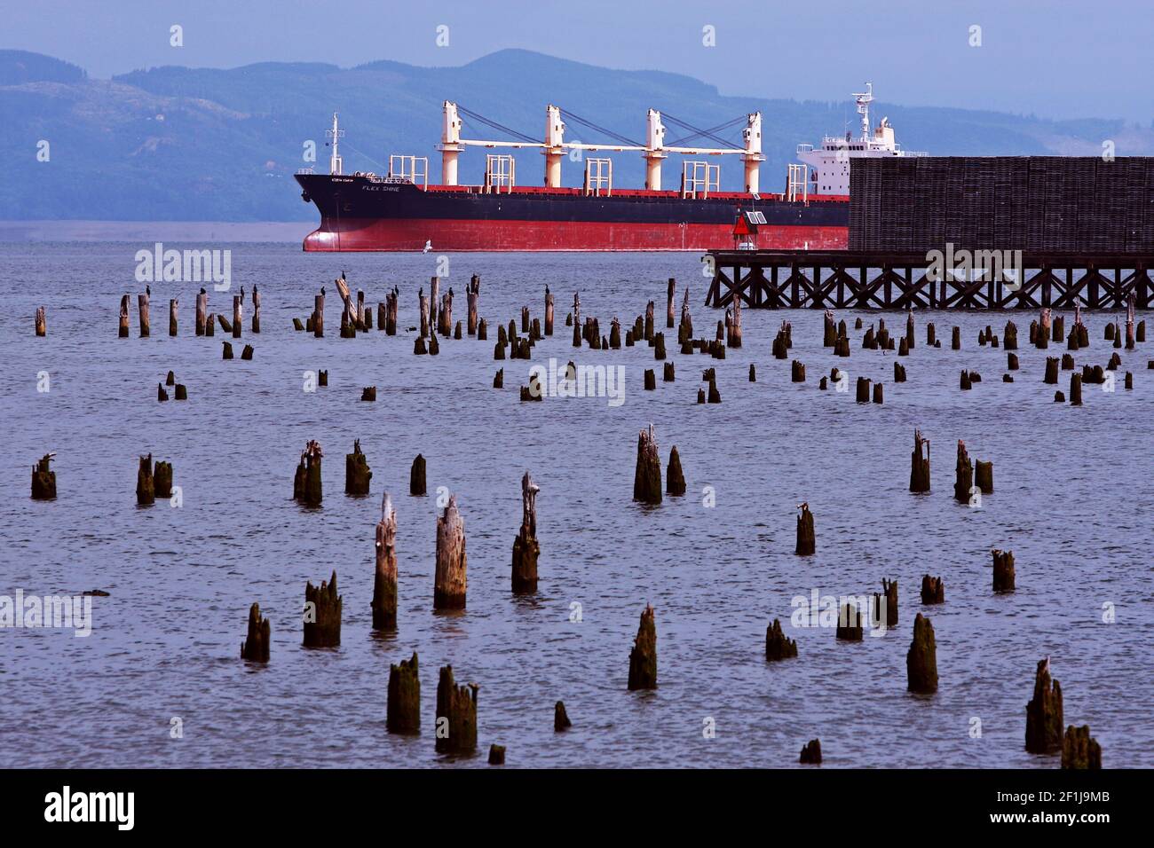 A cargo ship and stumps on Youngs River, Oregon. Stock Photo