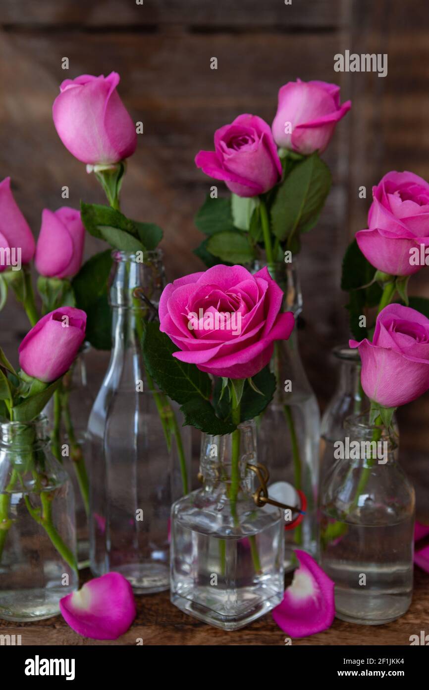 Pink roses in small bottles Stock Photo Alamy