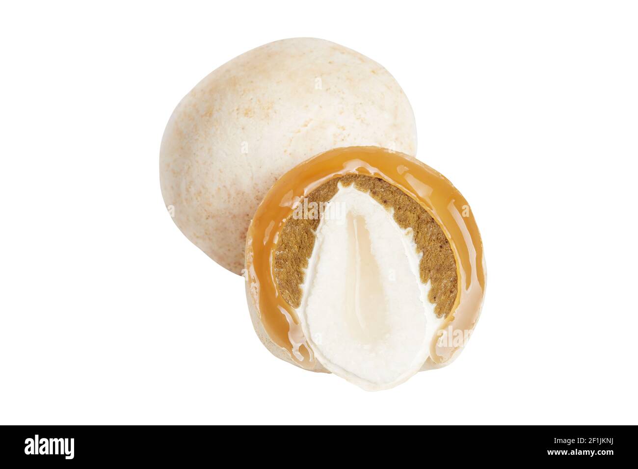 Phallus impudicus, known as the common stinkhorn isolated on white background. Ripe mushroom, immature fruiting body ('egg') of this mushroom, this eg Stock Photo