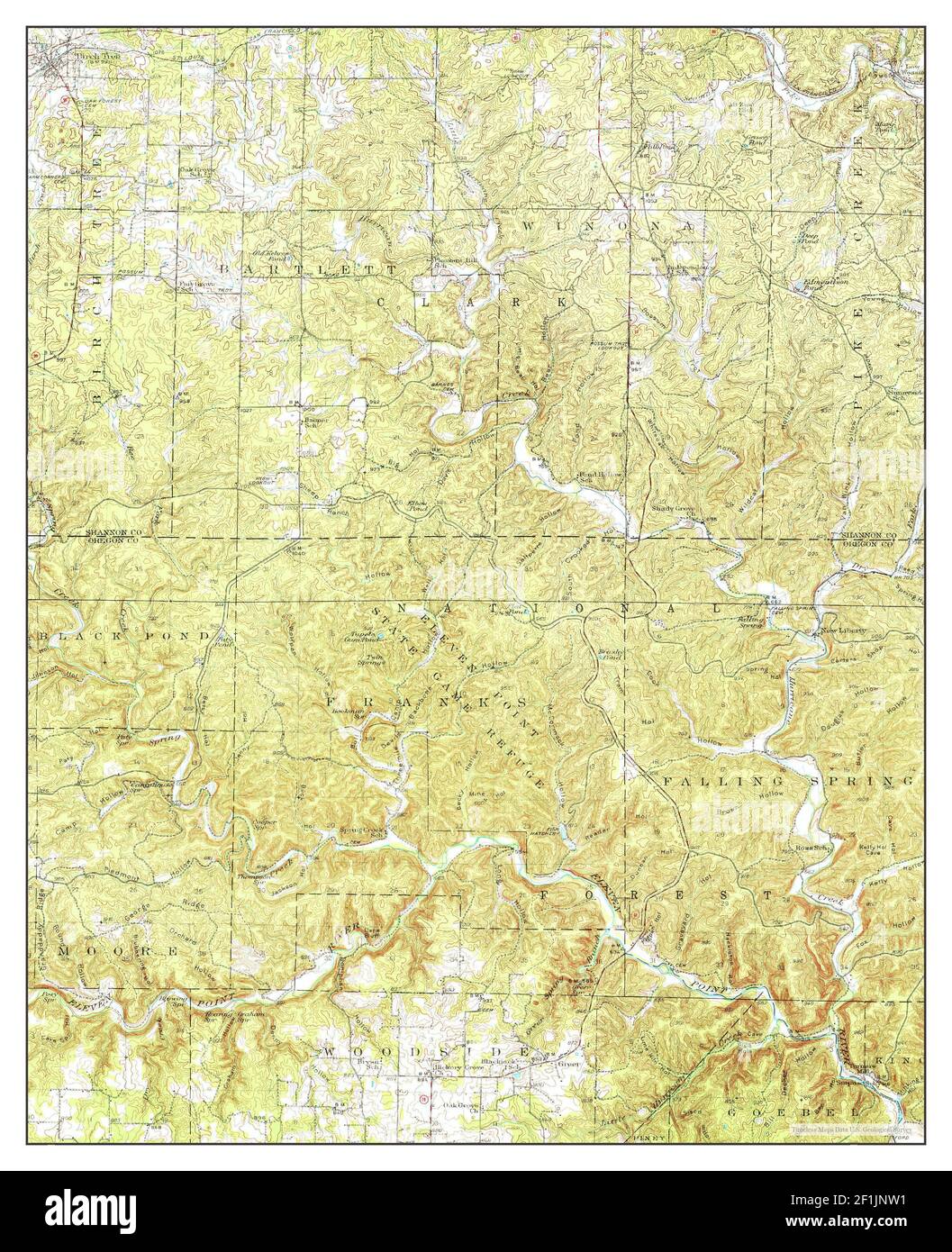 Tree survey Cut Out Stock Images & Pictures Alamy