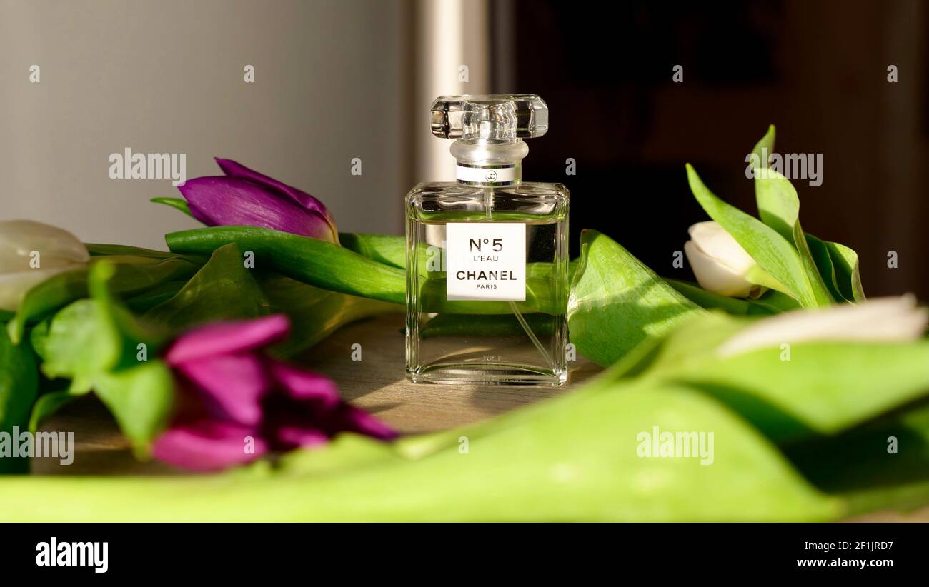 Chanel perfume Number 5 stands near the spring flowers of tulips close up with sunlight Stock Photo