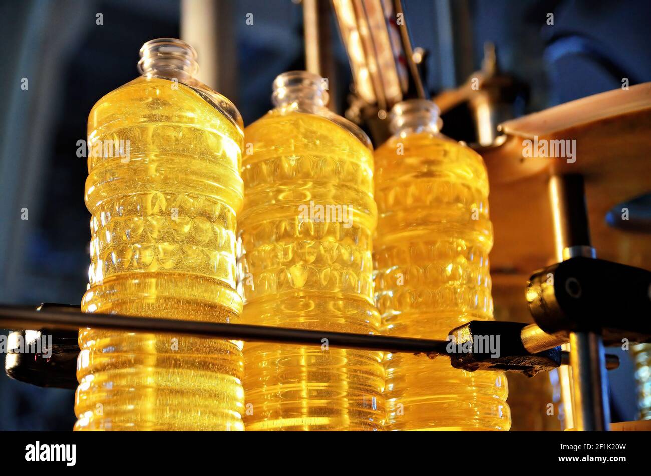 Sunflower oil. Factory line of production and filling of refined oil