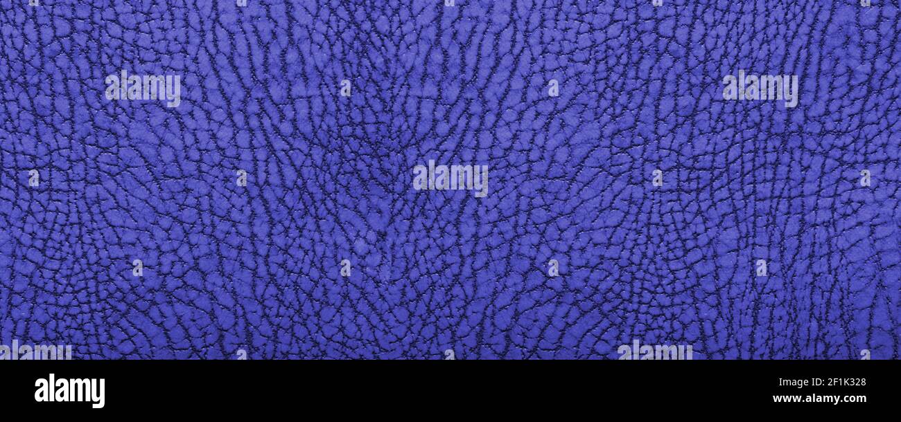 Clean blue leather fullframe texture. High resolution. Empty color leatherette closeup macro background Stock Photo