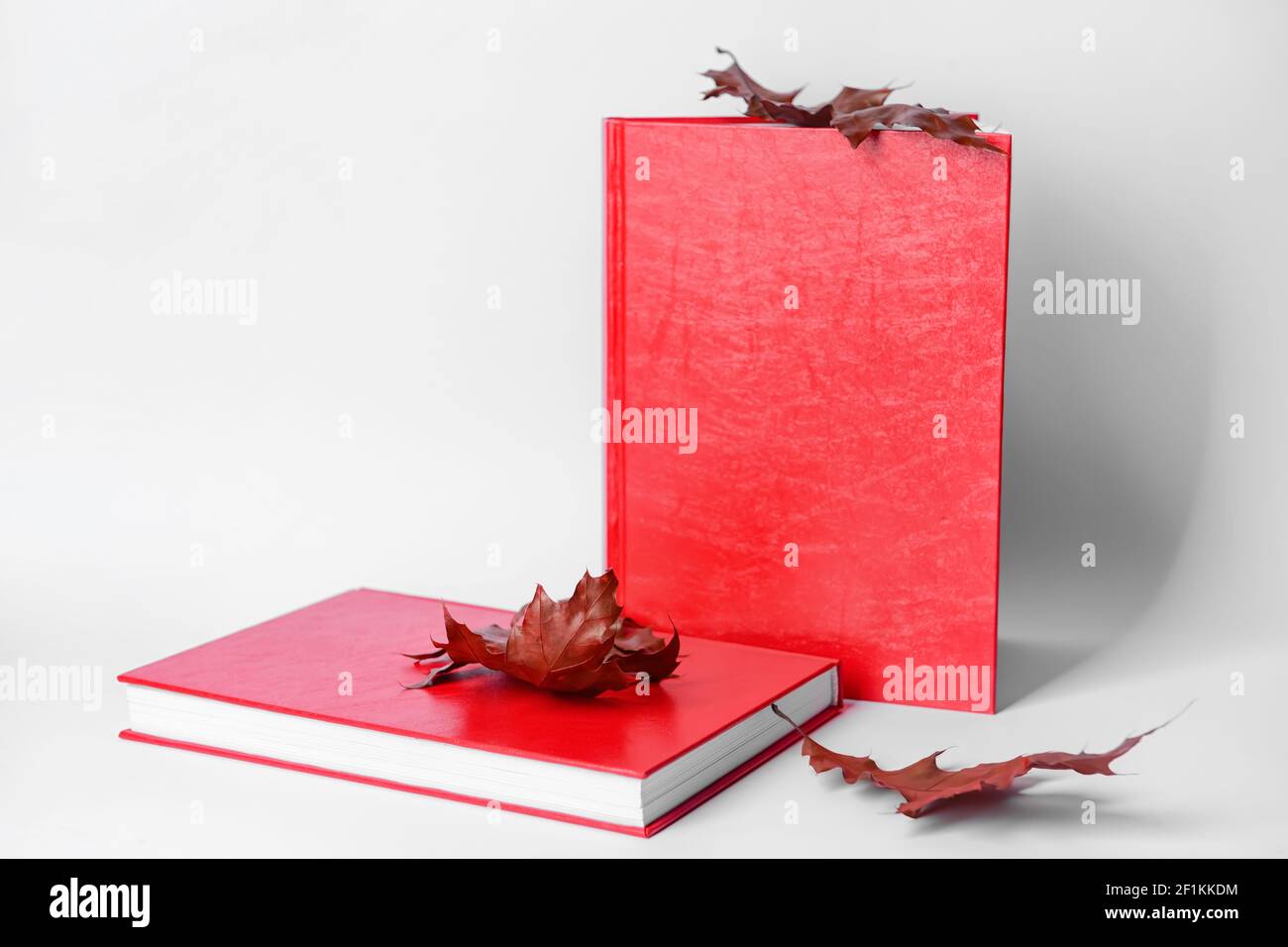 Empty book cover autumn leaves hi-res stock photography and images - Alamy