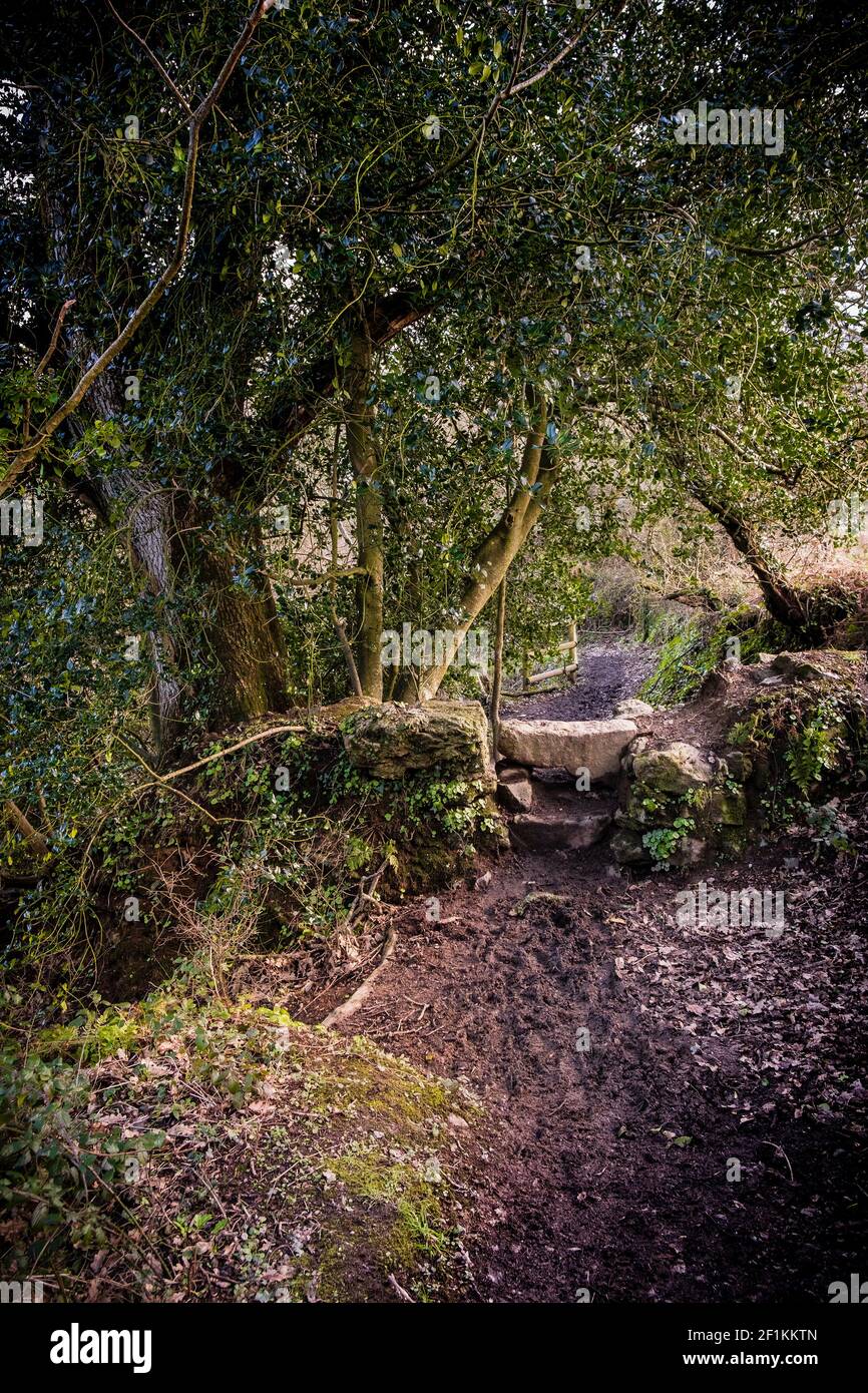 An old stone stile in the atmospheric Metha Woods in Lappa Valley near St Newlyn East in Cornwall. Stock Photo