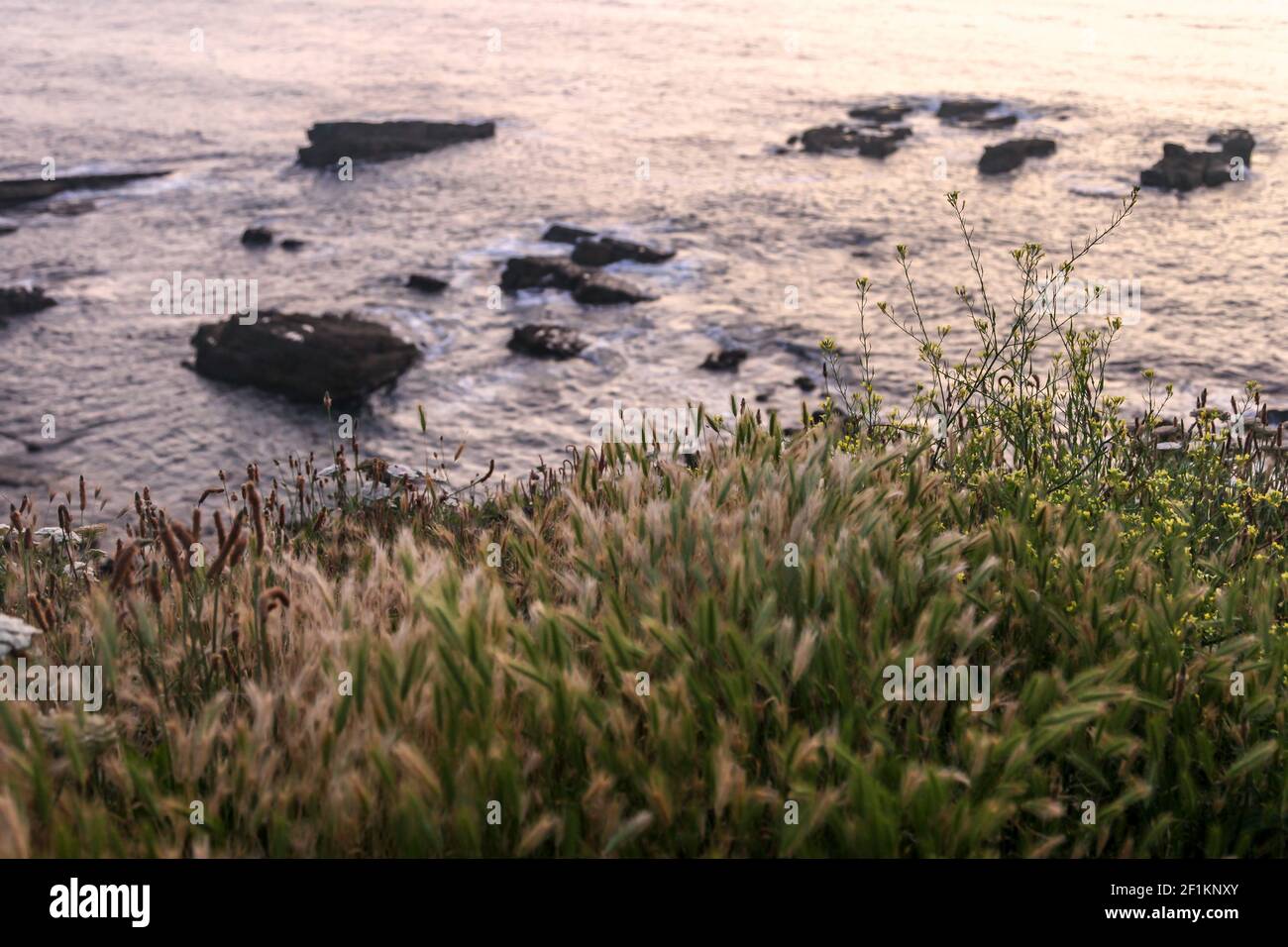 Steep coast in sunset hi-res stock photography and images - Alamy
