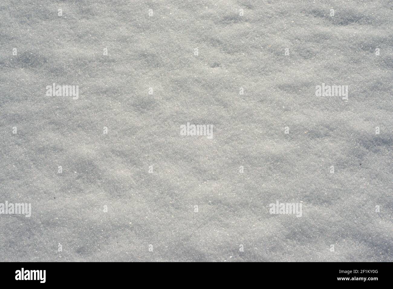 fresh snow cover Stock Photo