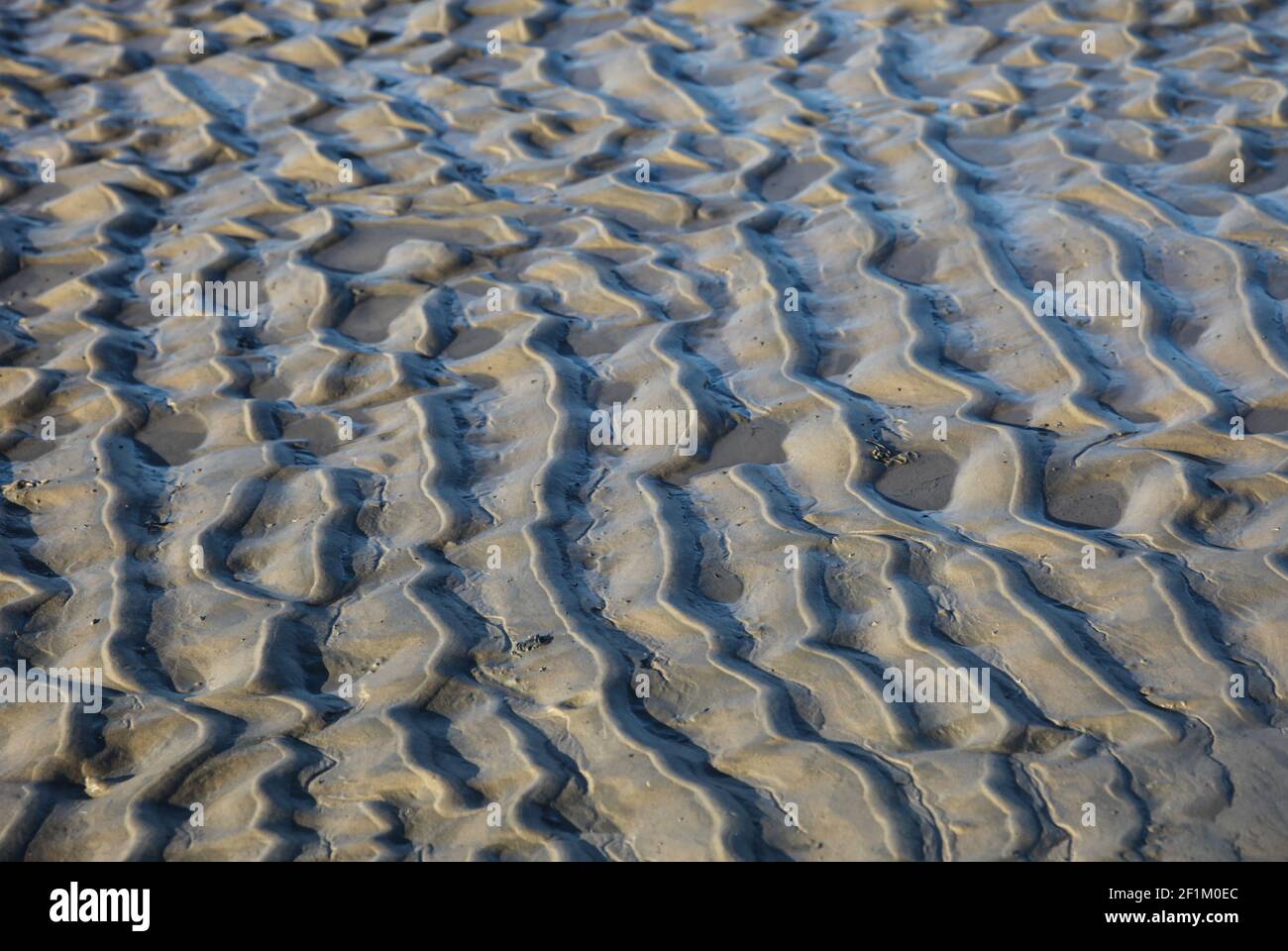 Low tide in the Lower Saxon Wadden, Langeoog Stock Photo