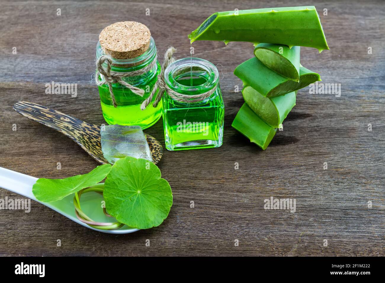 Slice Aloe Vera (Aloe barbadensis Mill.,Star cactus,  Aloin, Jafferabad or Barbados)   Aloe vera essential oil with Green Asiatic Pennywort  in spoon Stock Photo