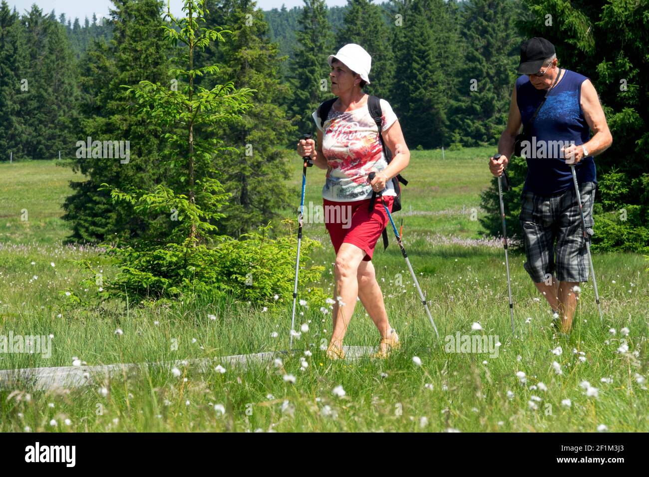 Elderly nordic walking Healthy lifestyle people aging couple Man woman in nature Stock Photo