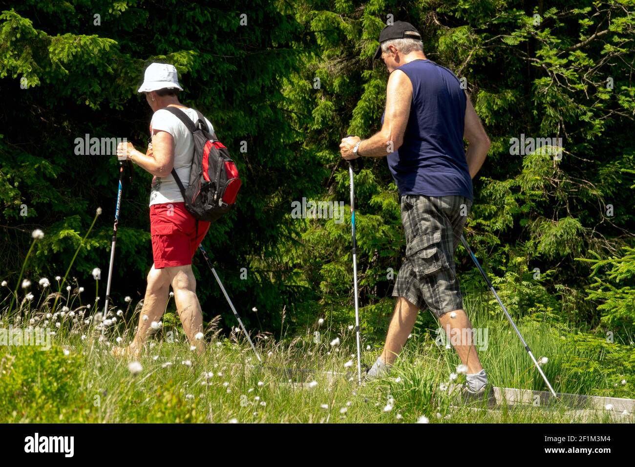 Elderly Nordic walking Healthy lifestyle people aging couple Man woman in forest path Czech seniors Stock Photo