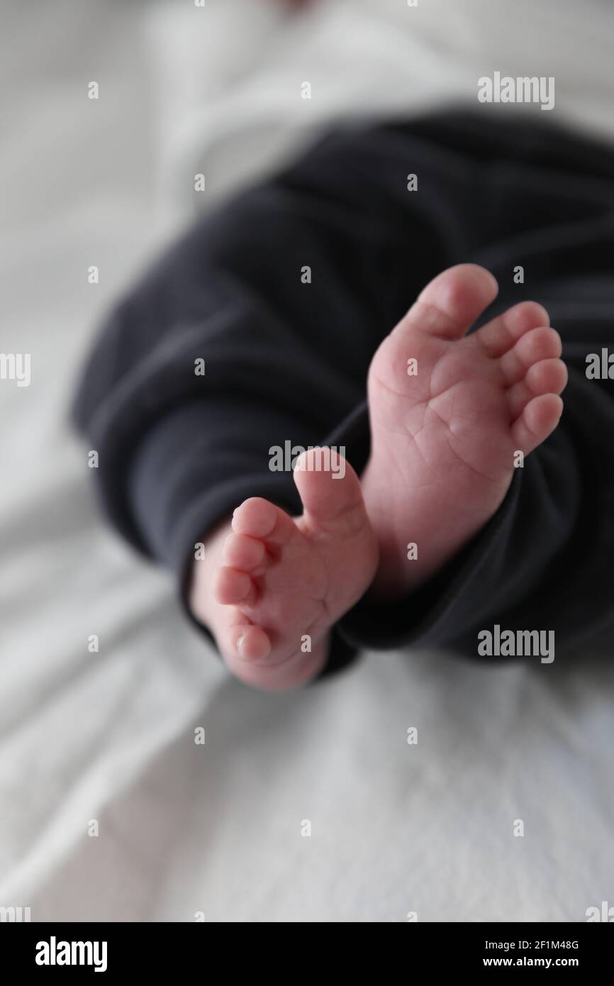 Newborn baby feet Stock Photo Alamy
