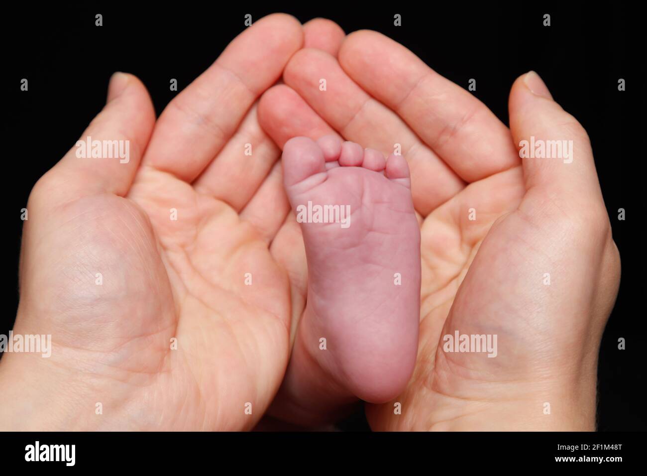 Newborn baby's feet in father's hand Stock Photo