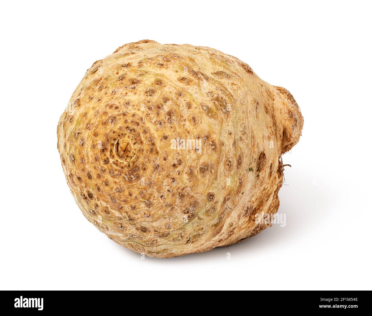 Celery root Stock Photo
