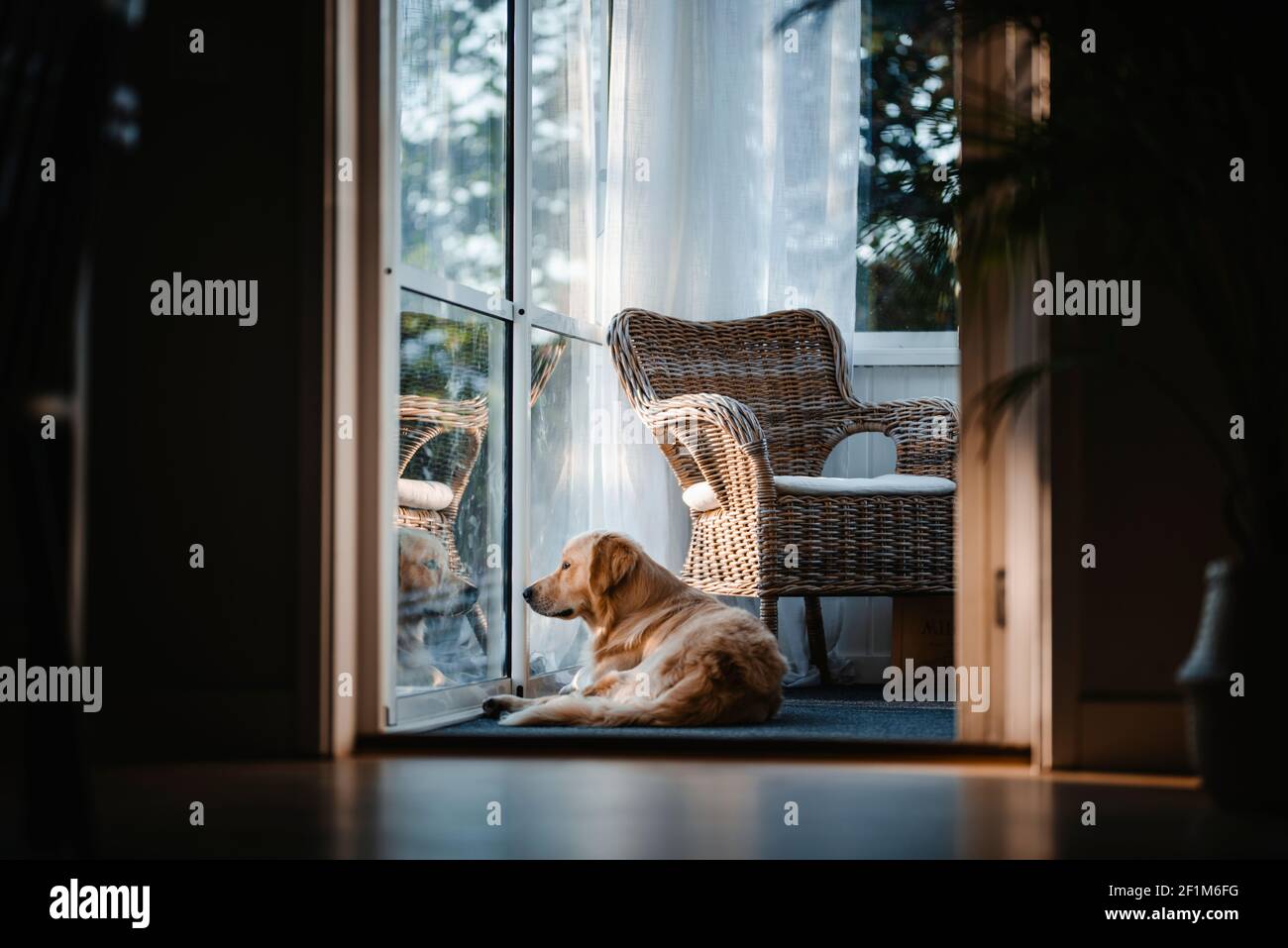Lost My Dog Until I Found This The Best Sliding Patio Screen Door With Dog Door Revealed - day0syg