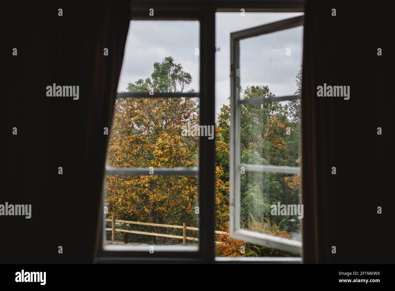 Autumn trees seen through window Stock Photo