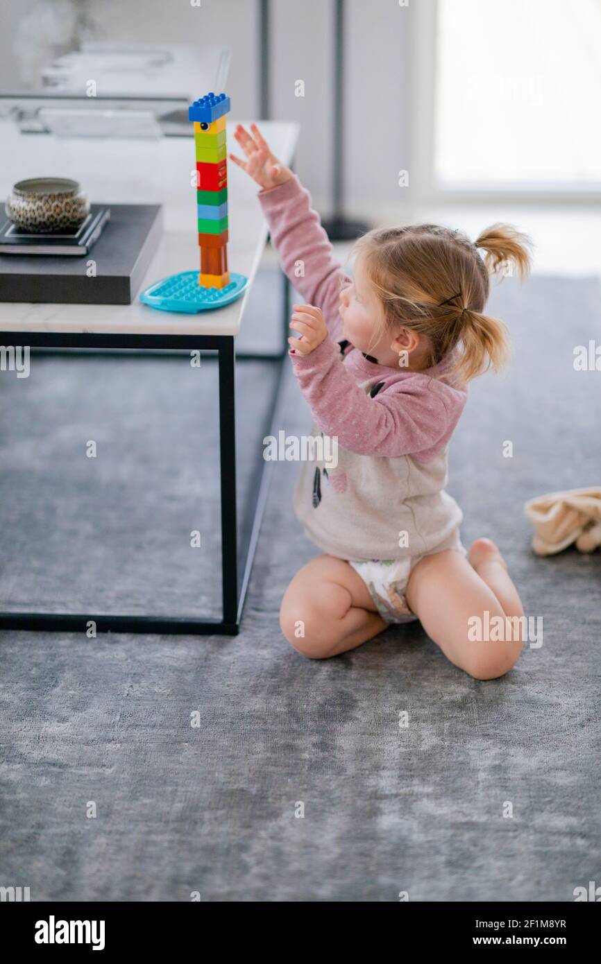 https://c8.alamy.com/comp/2F1M8YR/toddler-girl-playing-with-building-blocks-2F1M8YR.jpg