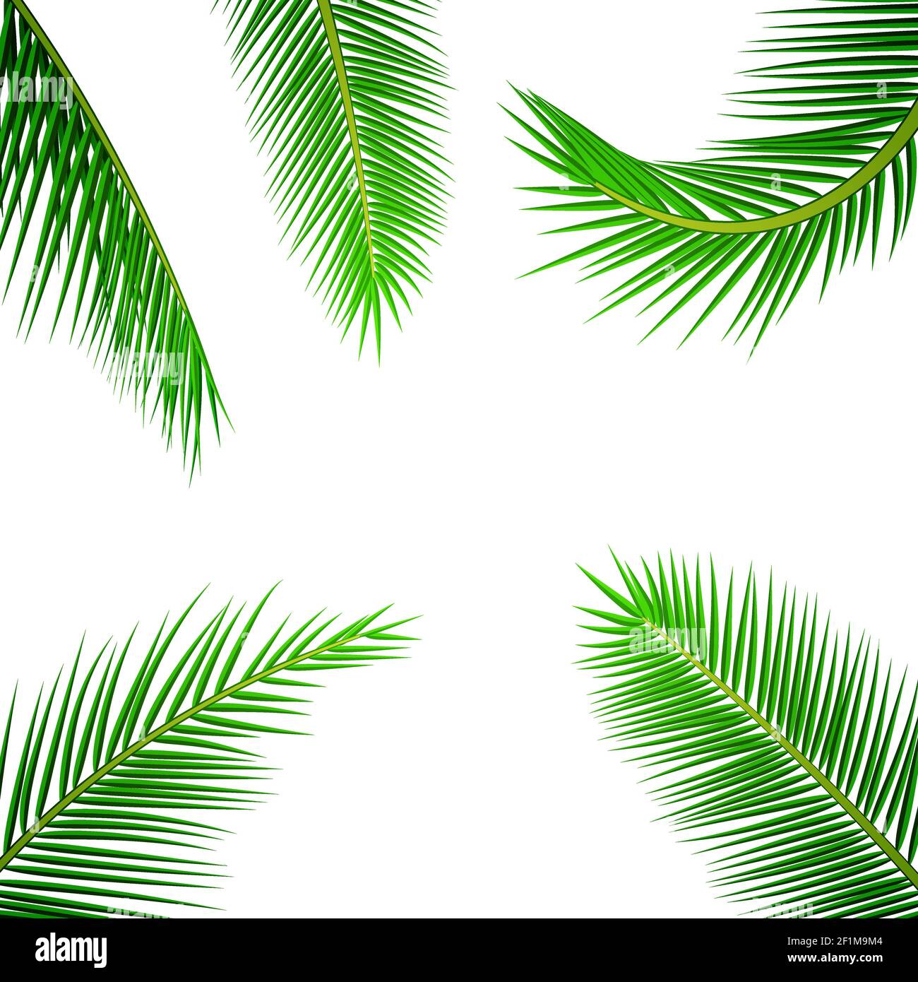 Palm leaves background. Stock Vector