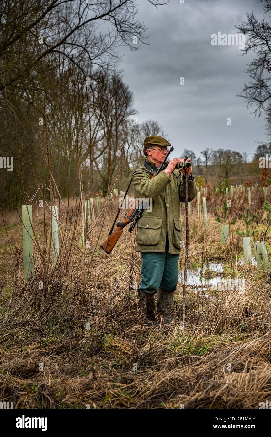 Lincolnshire, England, UK.  A deerstalker out at last light looking and spotting deer for culling and management as part of a conservation programme Stock Photo