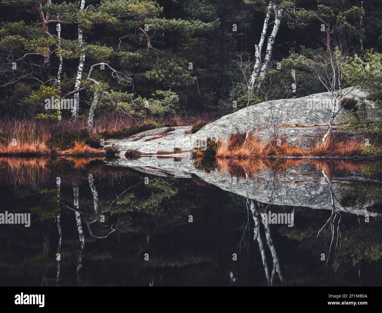 Trees and rocks reflecting in water Stock Photo - Alamy