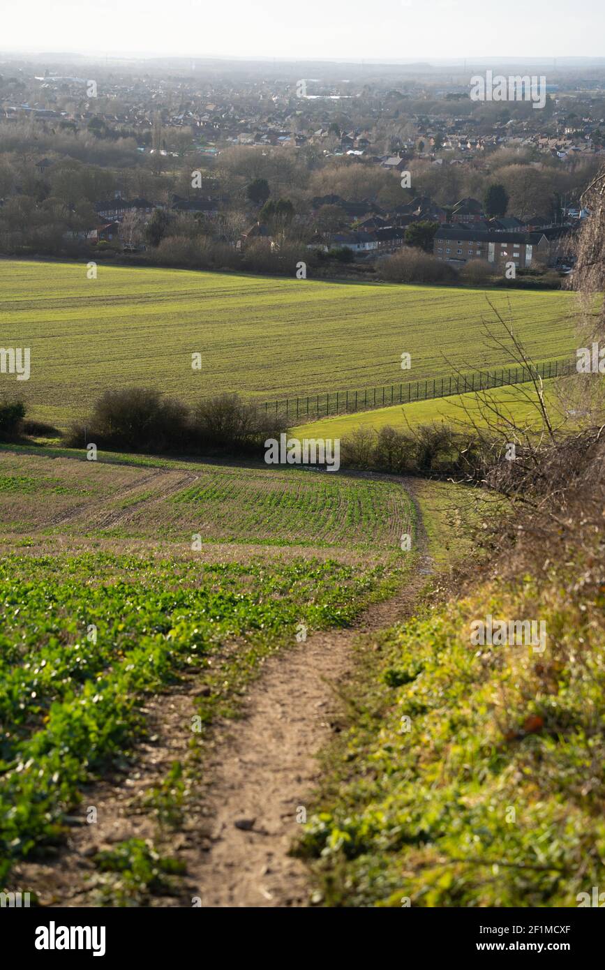 rights of way, public roads, pavements, public rights of way, right to roam, open access land, public footway, edge of field, avoid crop damage, keep. Stock Photo