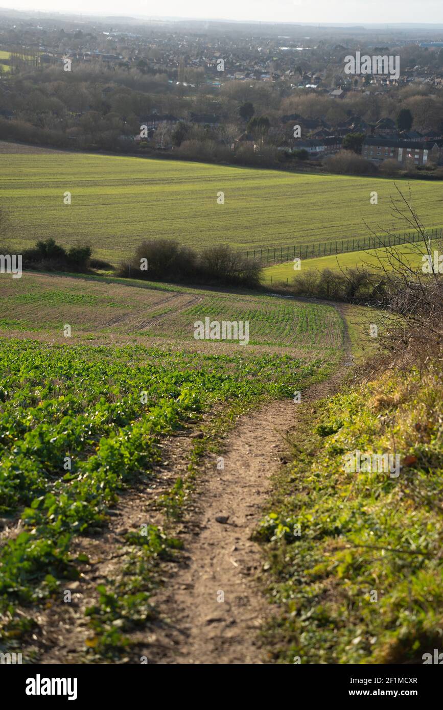 rights of way, public roads, pavements, public rights of way, right to roam, open access land, public footway, edge of field, avoid crop damage, keep. Stock Photo