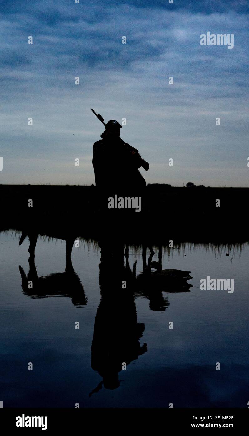 A wildfowler, or duck hunter, with his dog on a Lincolnshire salt marsh at last light by a pool with his dogs Stock Photo
