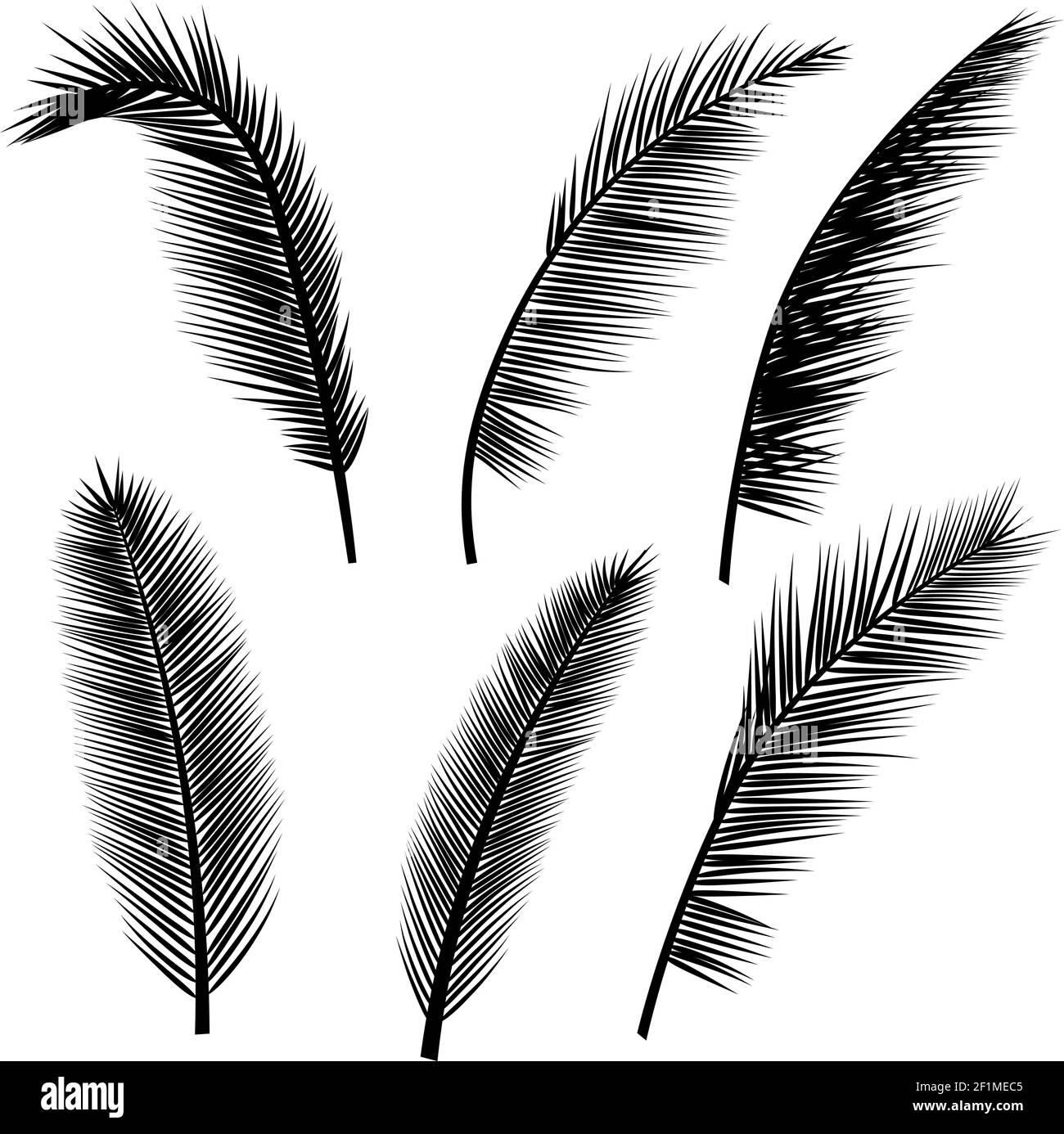 Set leaves silhouettes in Black and White Stock Photos & Images - Alamy