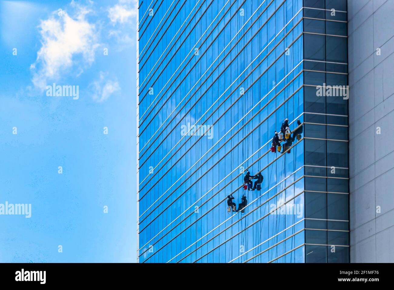 A group of cleaners in safety harness cleaning glass windows of a