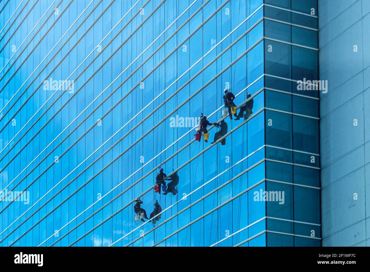 A group of cleaners in safety harness cleaning glass windows of a