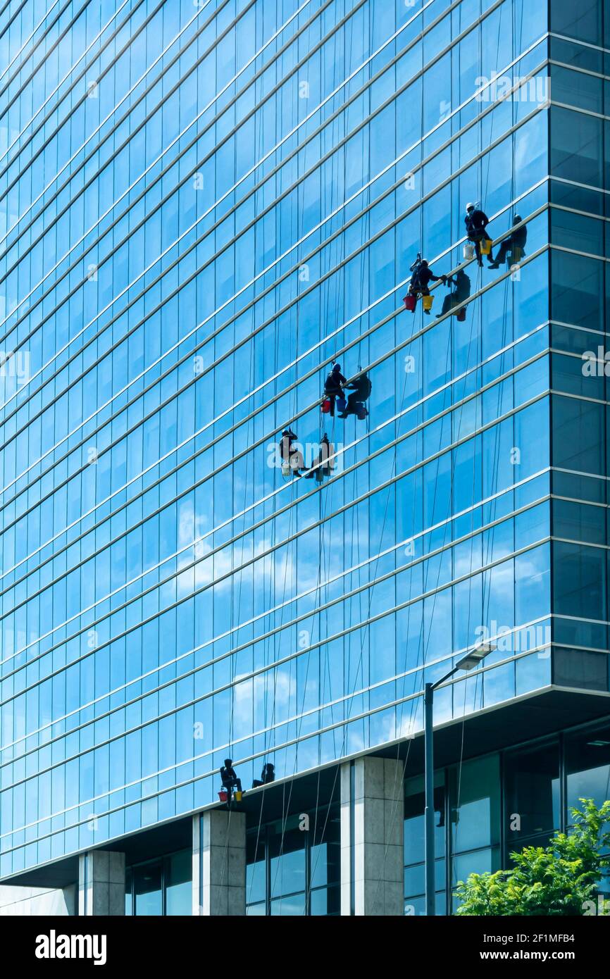 A group of cleaners in safety harness cleaning glass windows of a