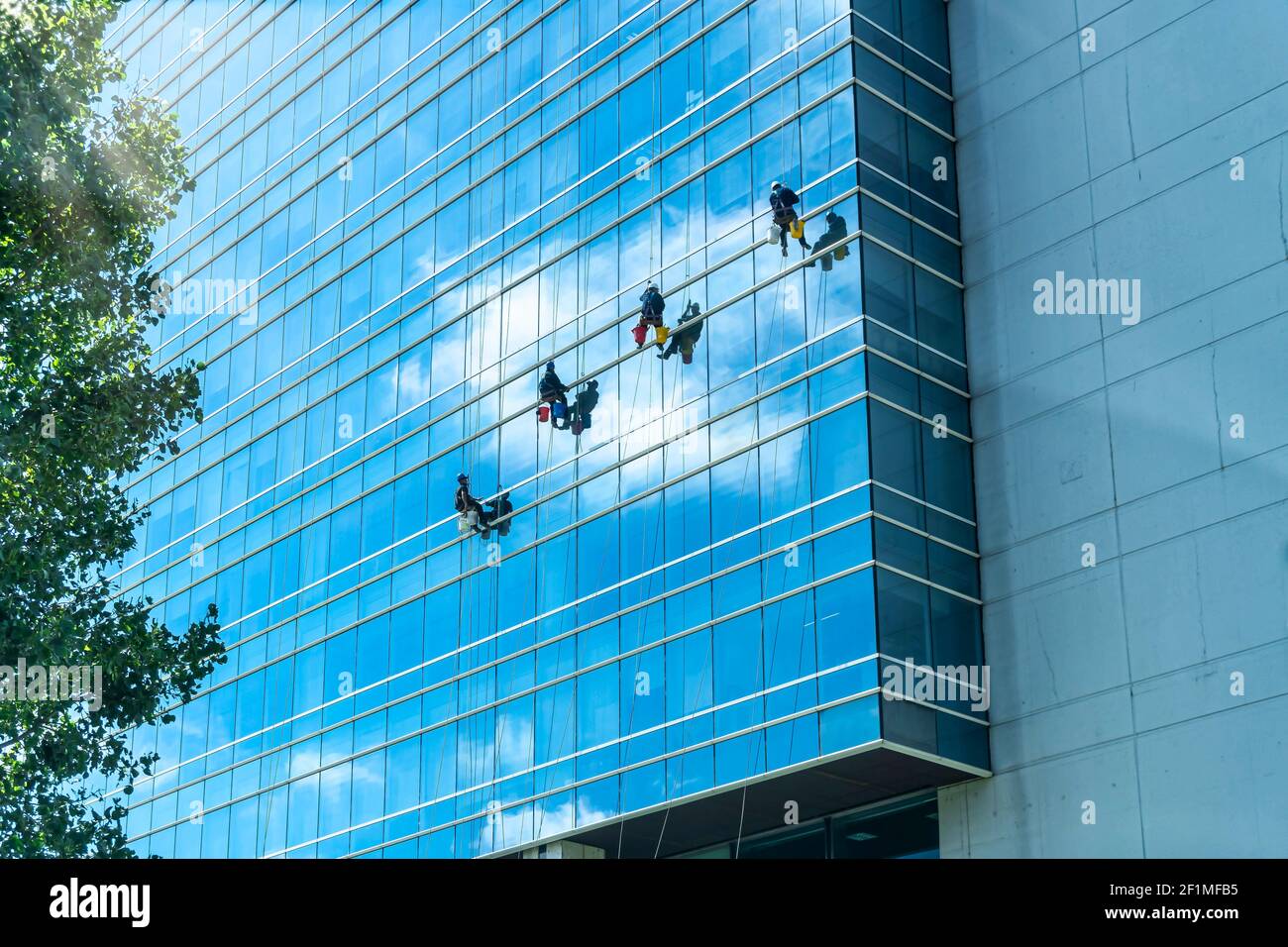 A group of cleaners in safety harness cleaning glass windows of a