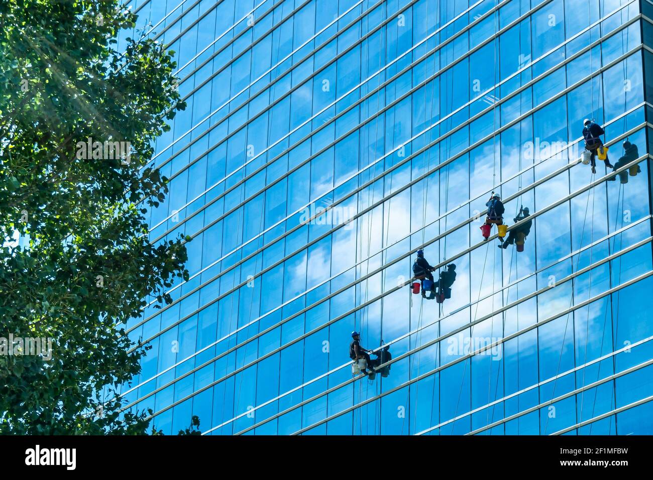 A group of cleaners in safety harness cleaning glass windows of a