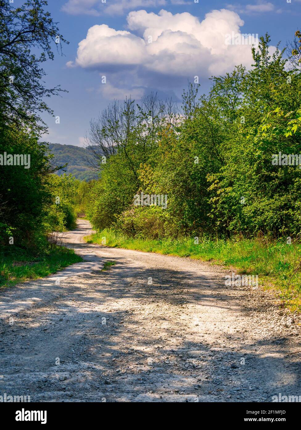 Dirt road winding through trees and bushes, with beautiful clouds in the blue sky. Stock Photo