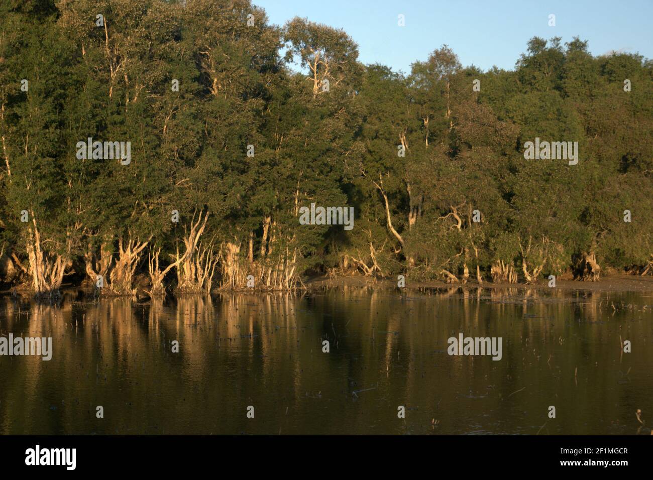 Rote Island, Indonesia. July 15, 2009. Lake Peto in Maubesi village, Rote Island, Rote Ndao regency, East Nusa Tenggara province, Indonesia. Considered as one of the suitable habitats for Rote Island's endemic snake-necked turtle species (Chelodina mccordi), this lake is chosen as the location to release the endangered species bred in captivity, on a ceremonial event that will be attended by Indonesian officials on July 16, 2009. Lake Peto, Maubesi village, Rote Ndao regency, East Nusa Tenggara, Indonesia. Stock Photo