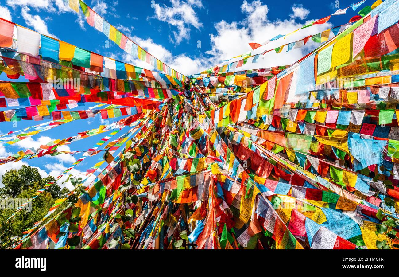 Many colorful Tibetan Buddhist prayer flags in Shangri-La Yunnan China Stock Photo