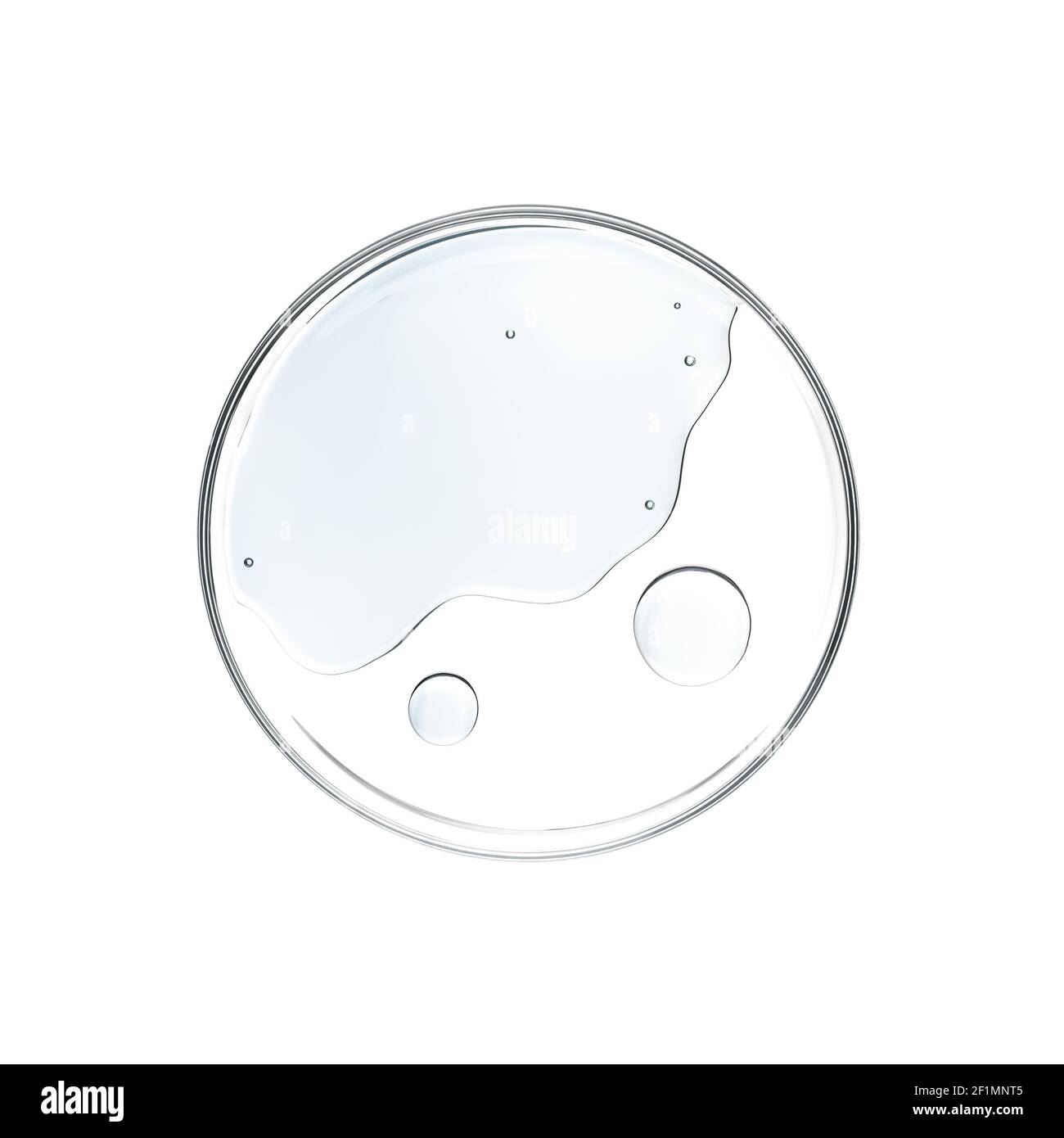 Liquid in petri dish over white background flat lay Stock Photo Alamy