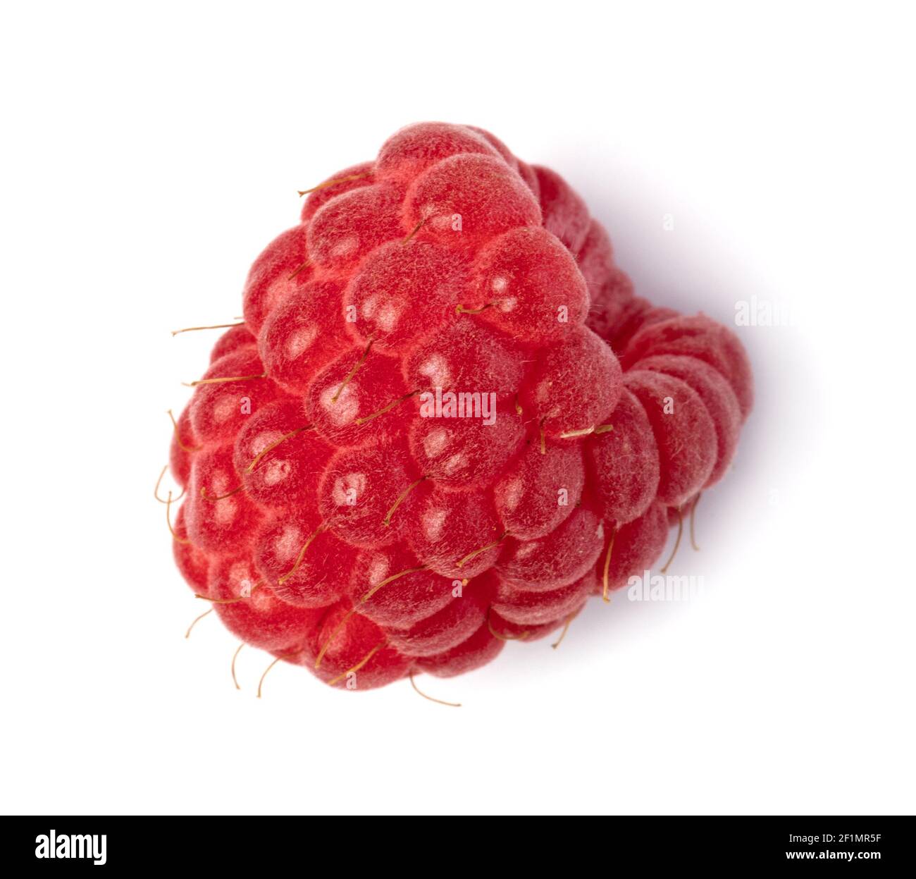Ripe raspberry on white background Stock Photo