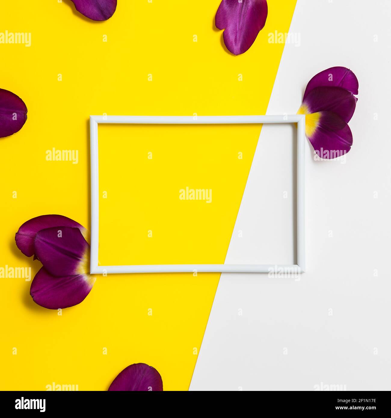 Empty photo frame with flowers on geometric paper white and yellow ...